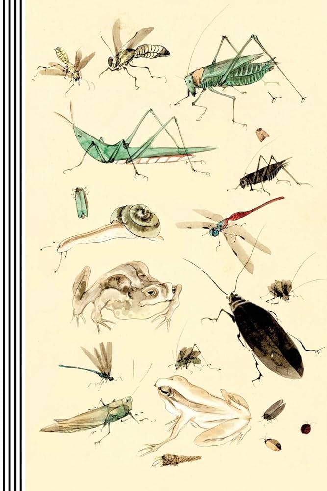 Insects Illustrations Journal Entomology Biology: Bugs Asian